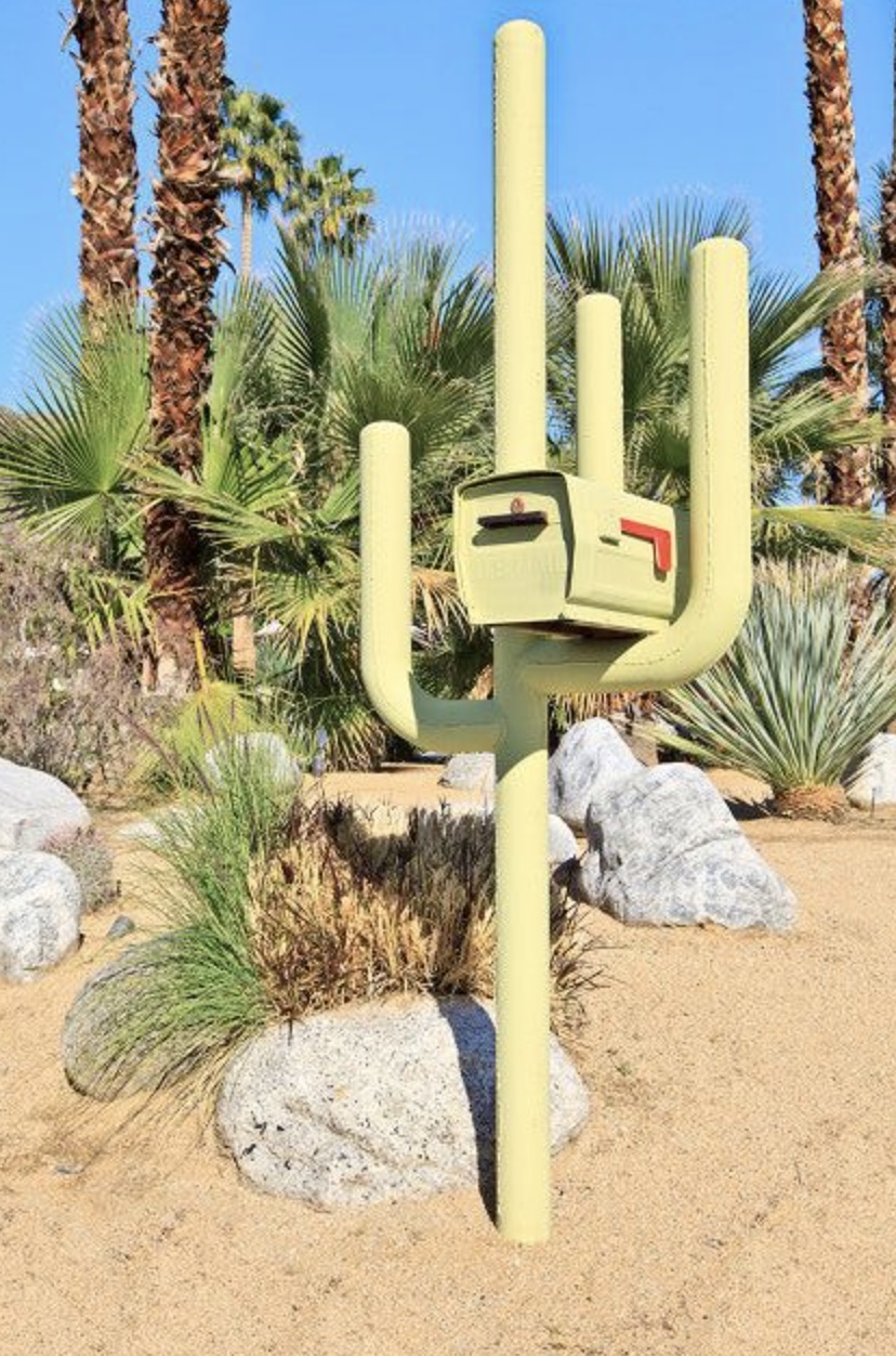 cactus mailbox post